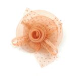 Mesh Flower Fascinator Kentucky Derby Teaparty Tulle Polka Dot Chic