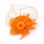 Mesh Flower Fascinator Kentucky Derby Teaparty Tulle Veil Chic